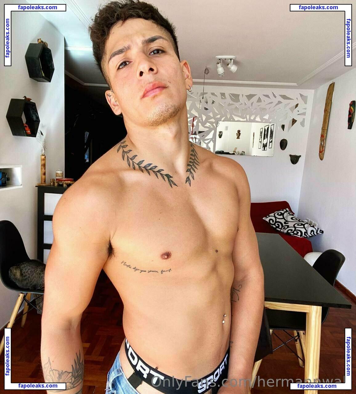 hermannwalt nude photo #0004 from OnlyFans