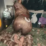 heyshika - shika голая #0005