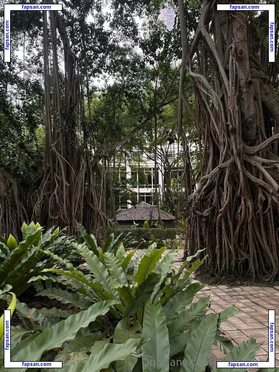 HheadShhot nude photo #0286 from OnlyFans