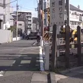 Hikaru Minazuki голая #0003