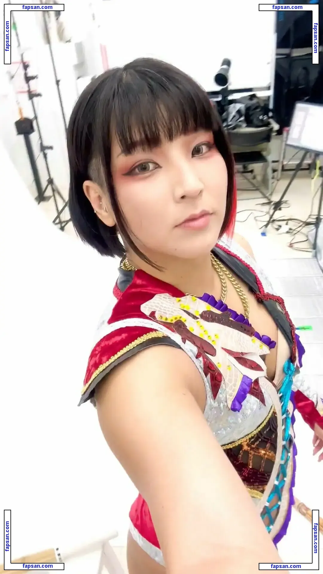 Hikaru Shida nude photo #0179 from OnlyFans
