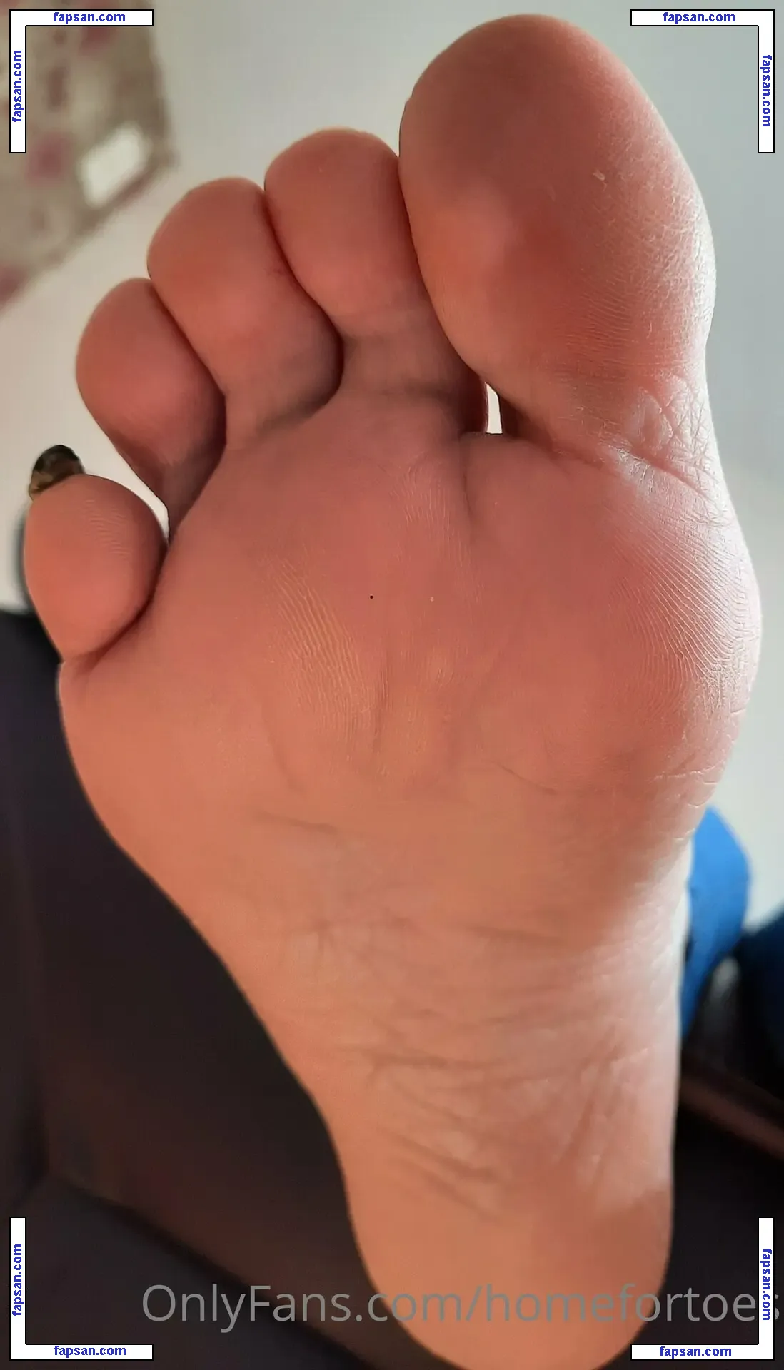 homefortoes nude photo #0012 from OnlyFans