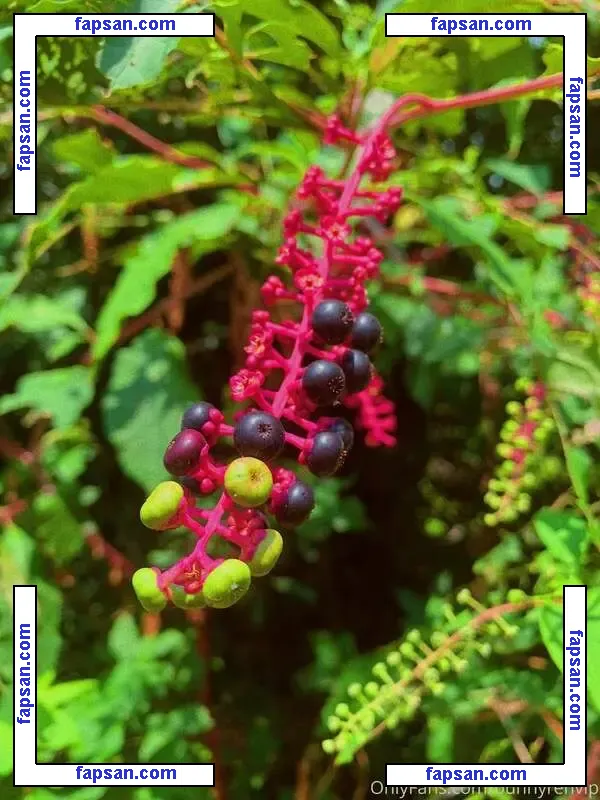 Honey Summers голая фото #0009 с Онлифанс