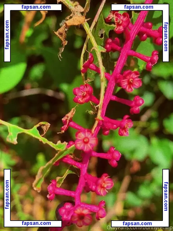 Honey Summers голая фото #0018 с Онлифанс