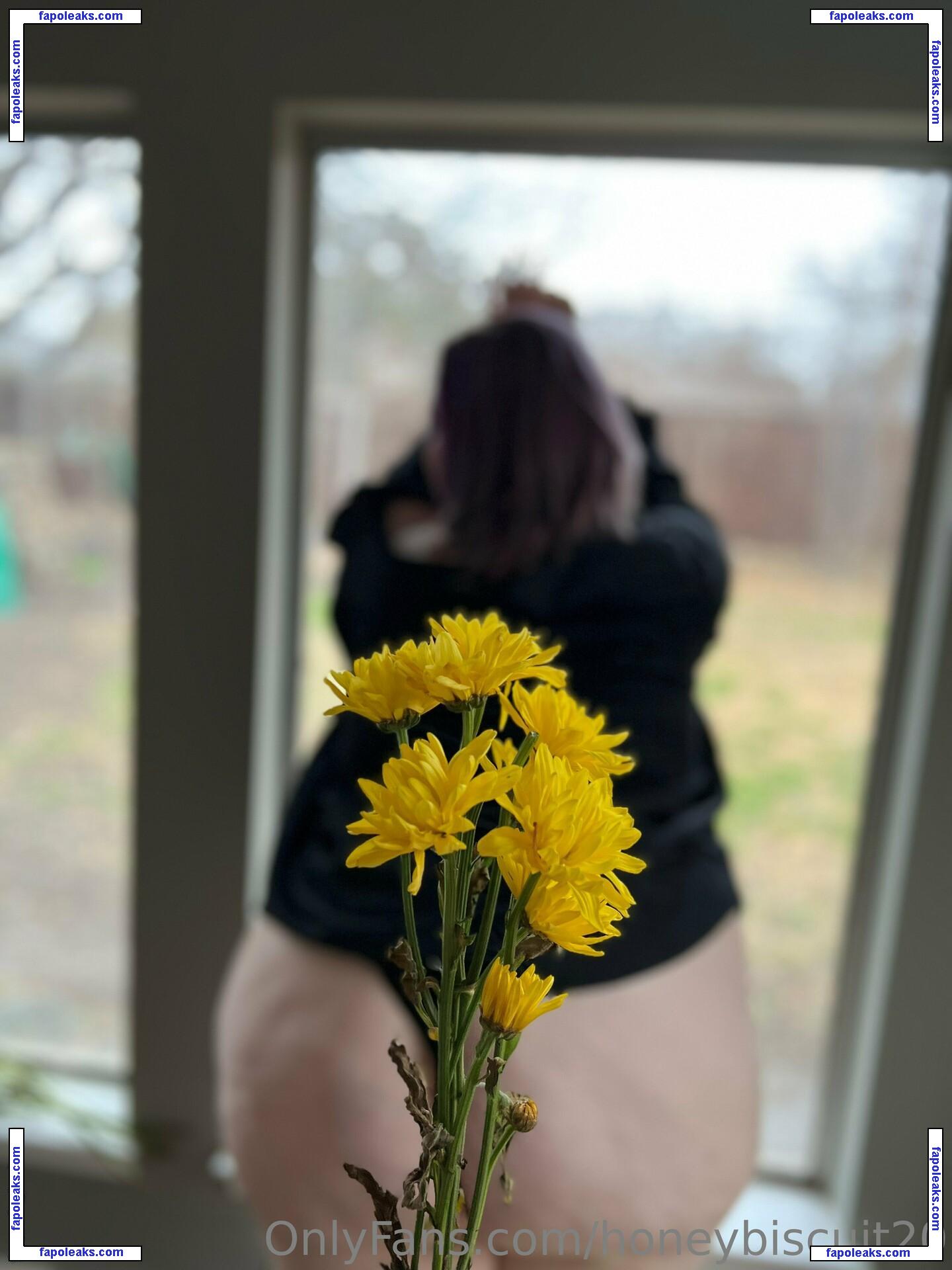 honeybiscuit20 nude photo #0016 from OnlyFans