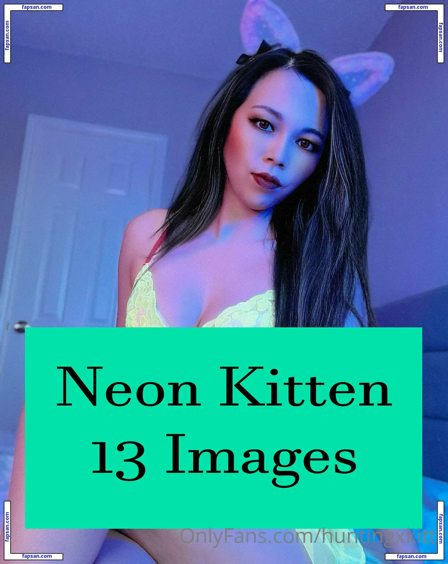 huntingxkitty nude photo #0016 from OnlyFans