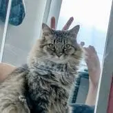 imitationtina голая #0003