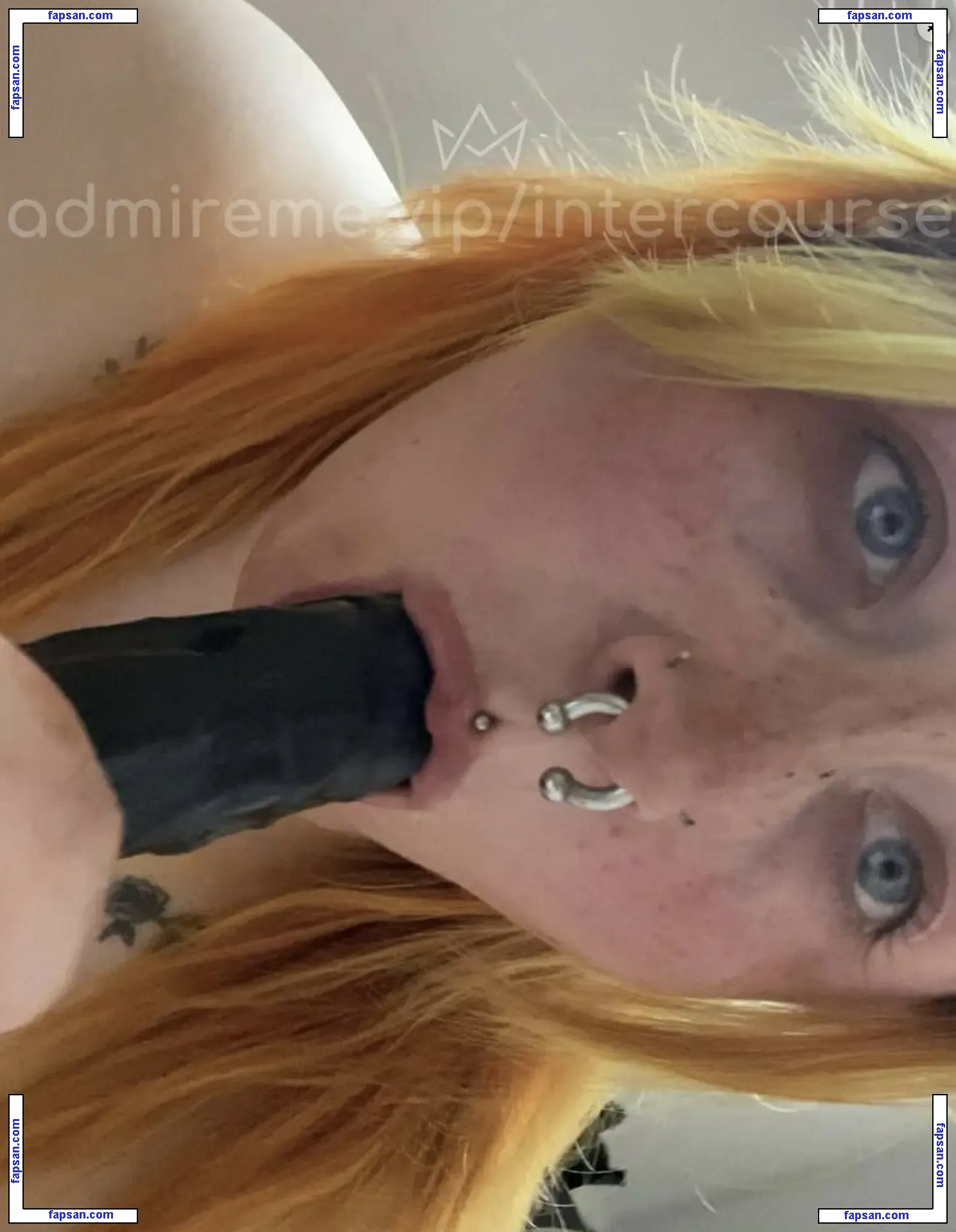 intercourse / Admireme / carnivgorewhore nude photo #0011 from OnlyFans