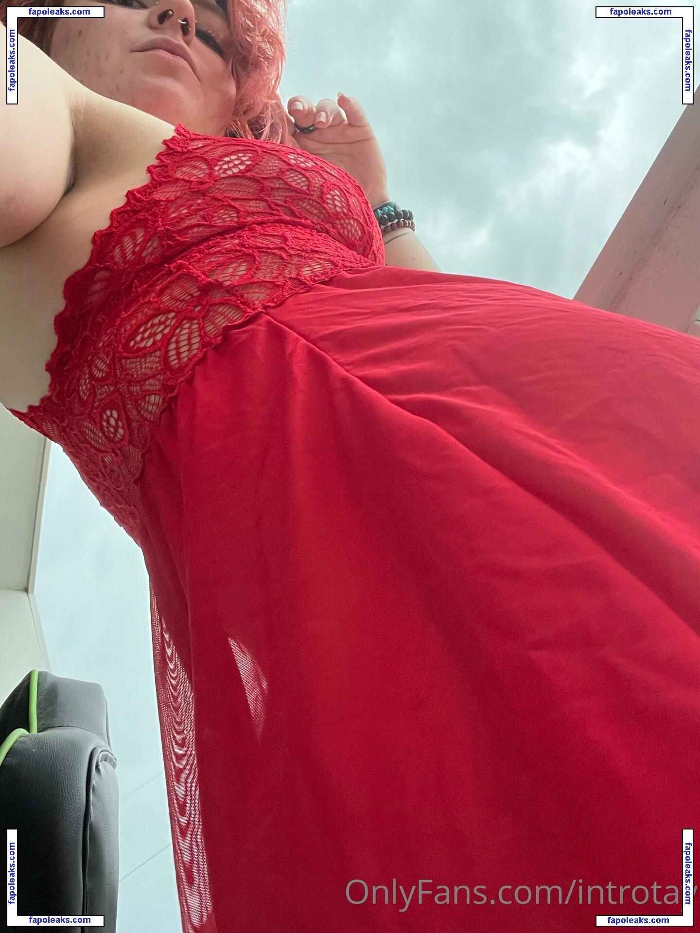 introtay / introducing.taylor nude photo #0008 from OnlyFans