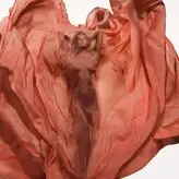 Irina Shayk голая #3851