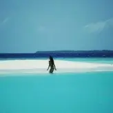 Isabeli Fontana голая #0625