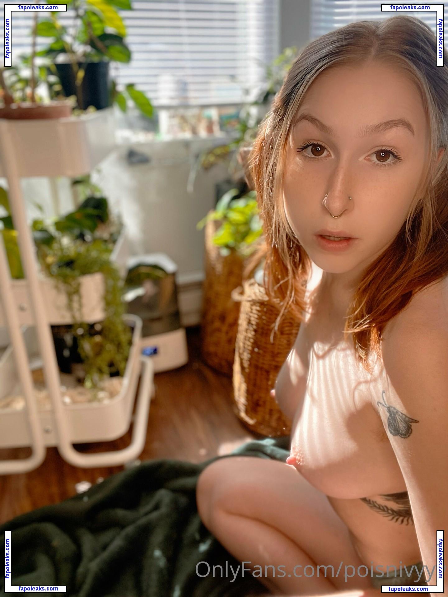 Ivy Lune / Barista Ivy / baristaivyyy / poisnivyyy / poisnivyyyfree nude photo #0005 from OnlyFans