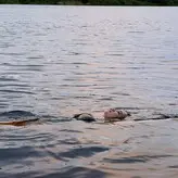 Jade Baraldo голая #0116