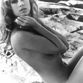 Jane Fonda nude #0140