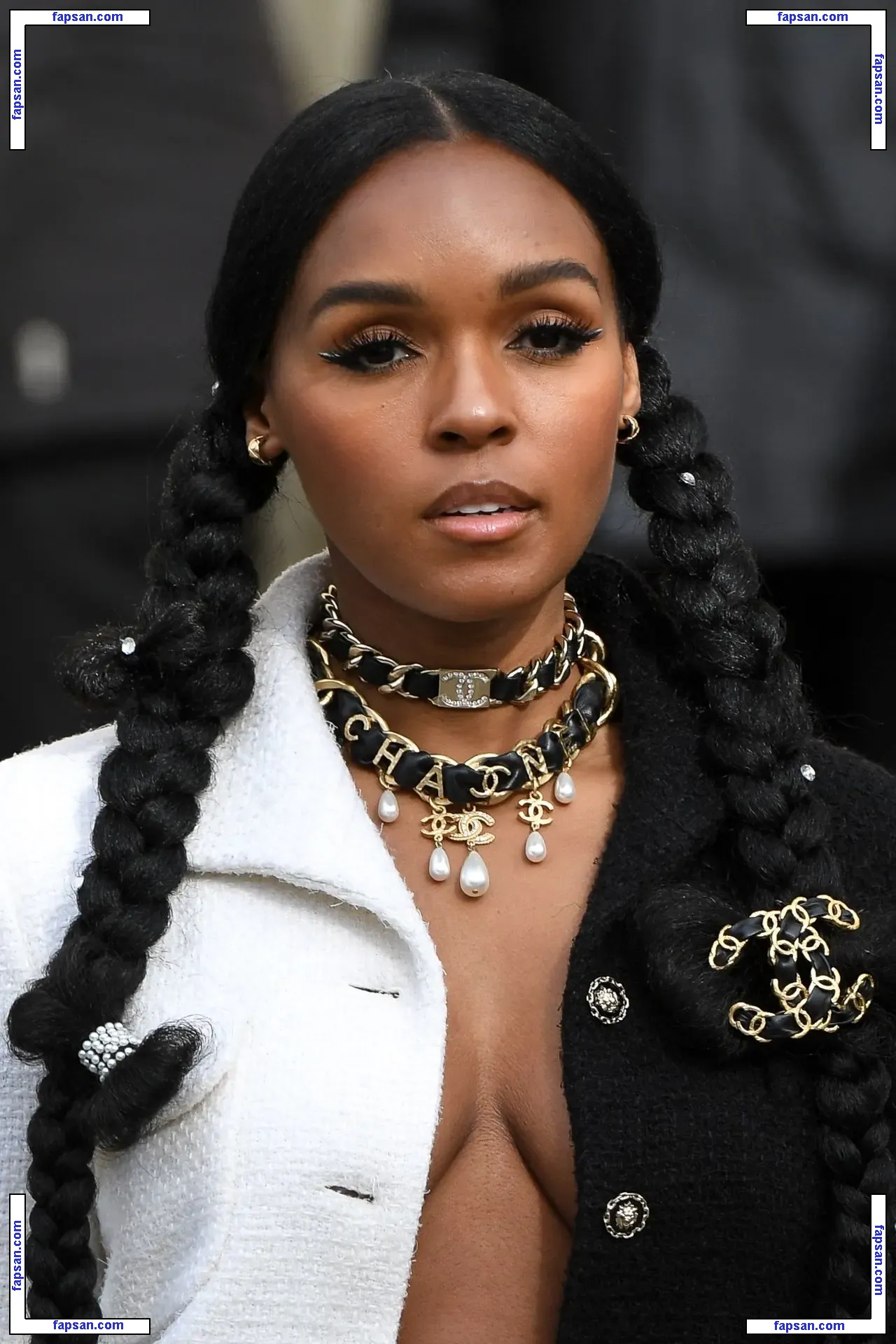 Janelle Monáe nude photo #0124 from OnlyFans