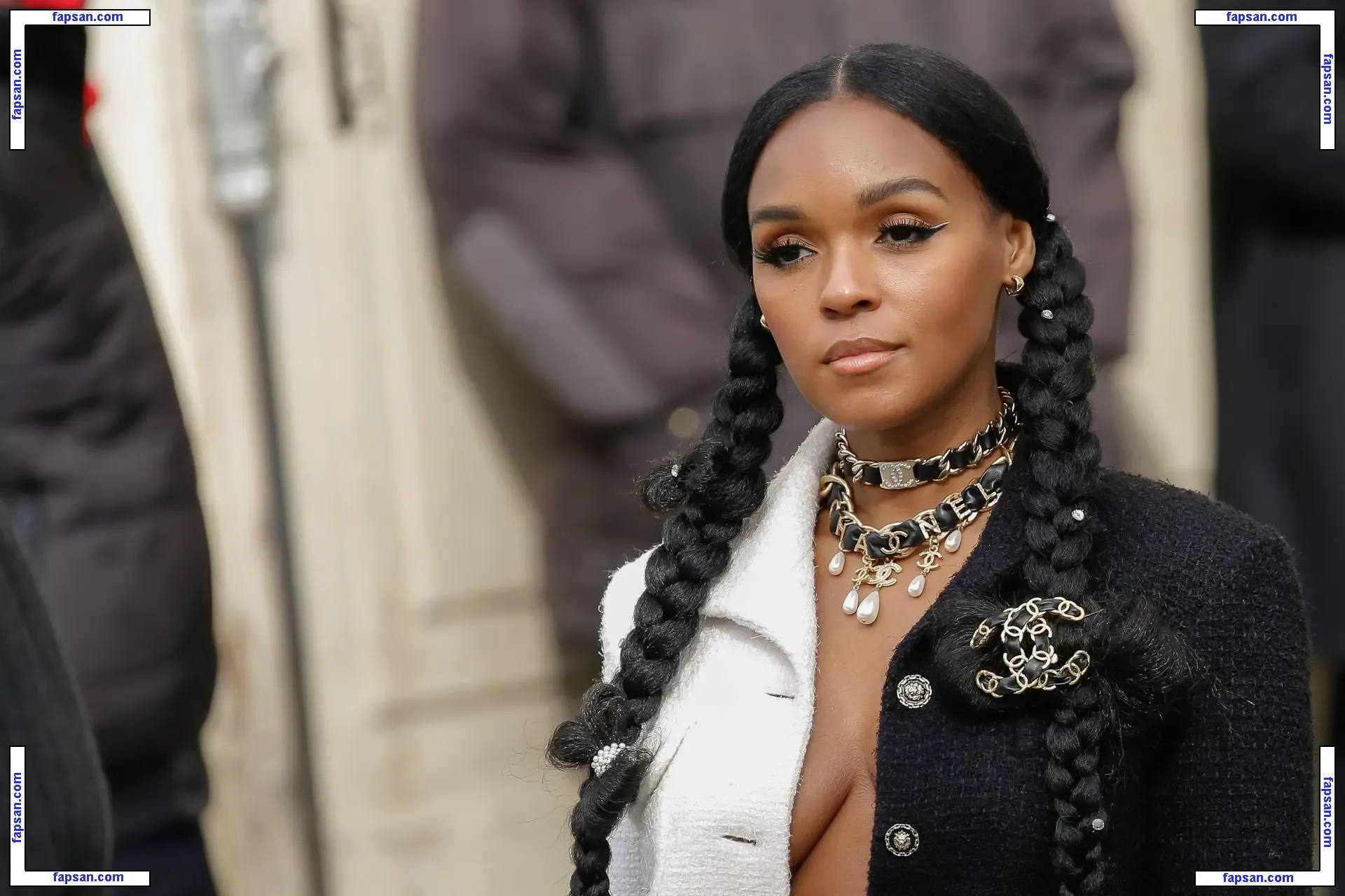 Janelle Monáe nude photo #0135 from OnlyFans