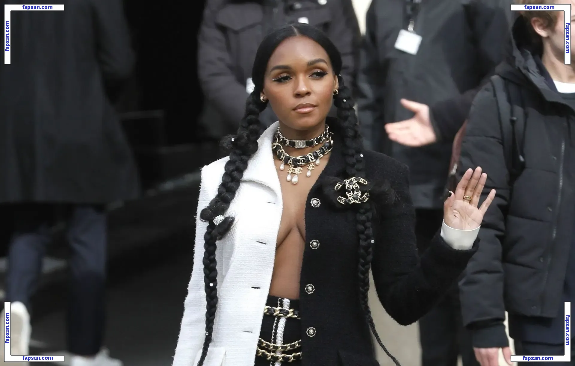 Janelle Monáe nude photo #0150 from OnlyFans