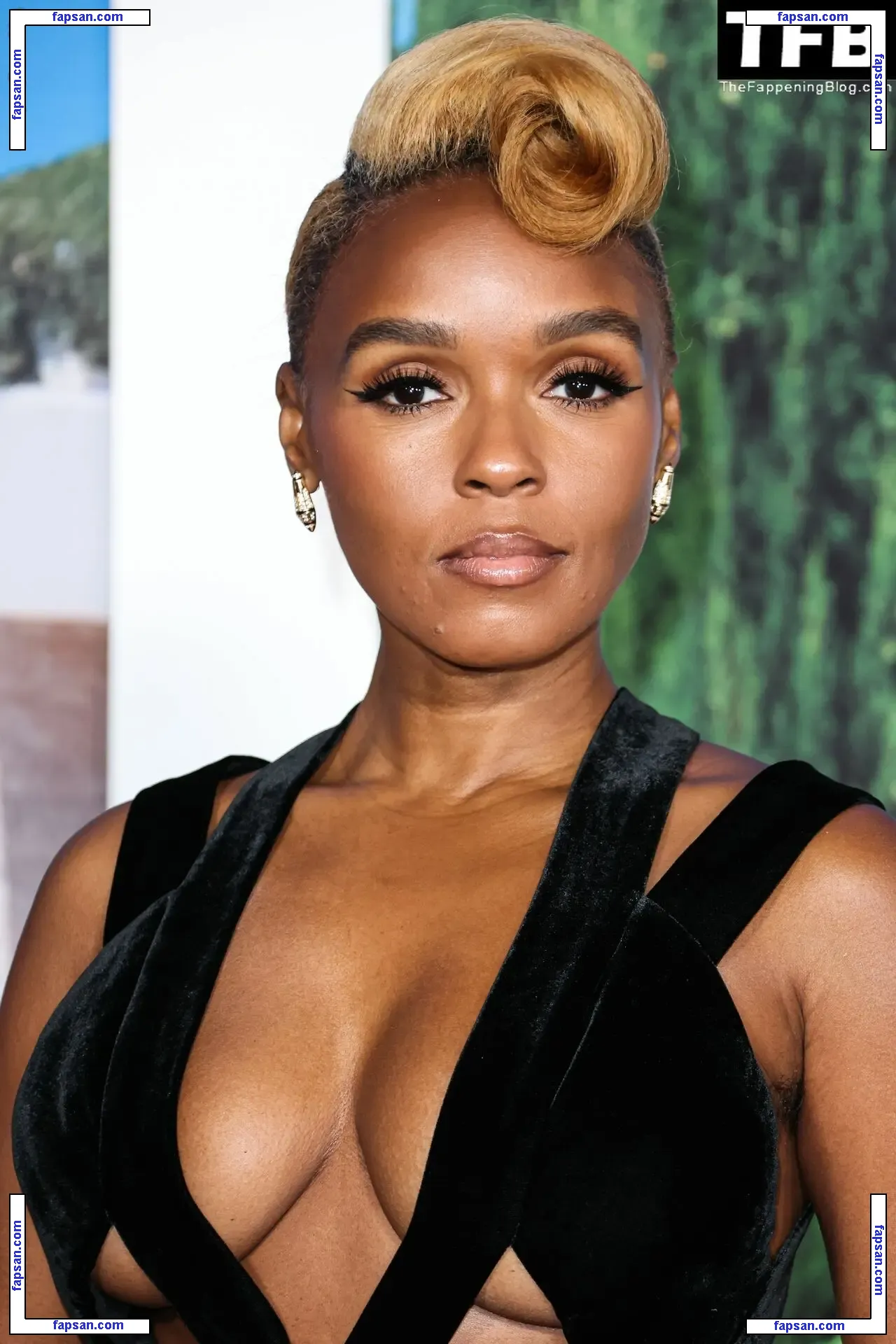 Janelle Monáe nude photo #0228 from OnlyFans