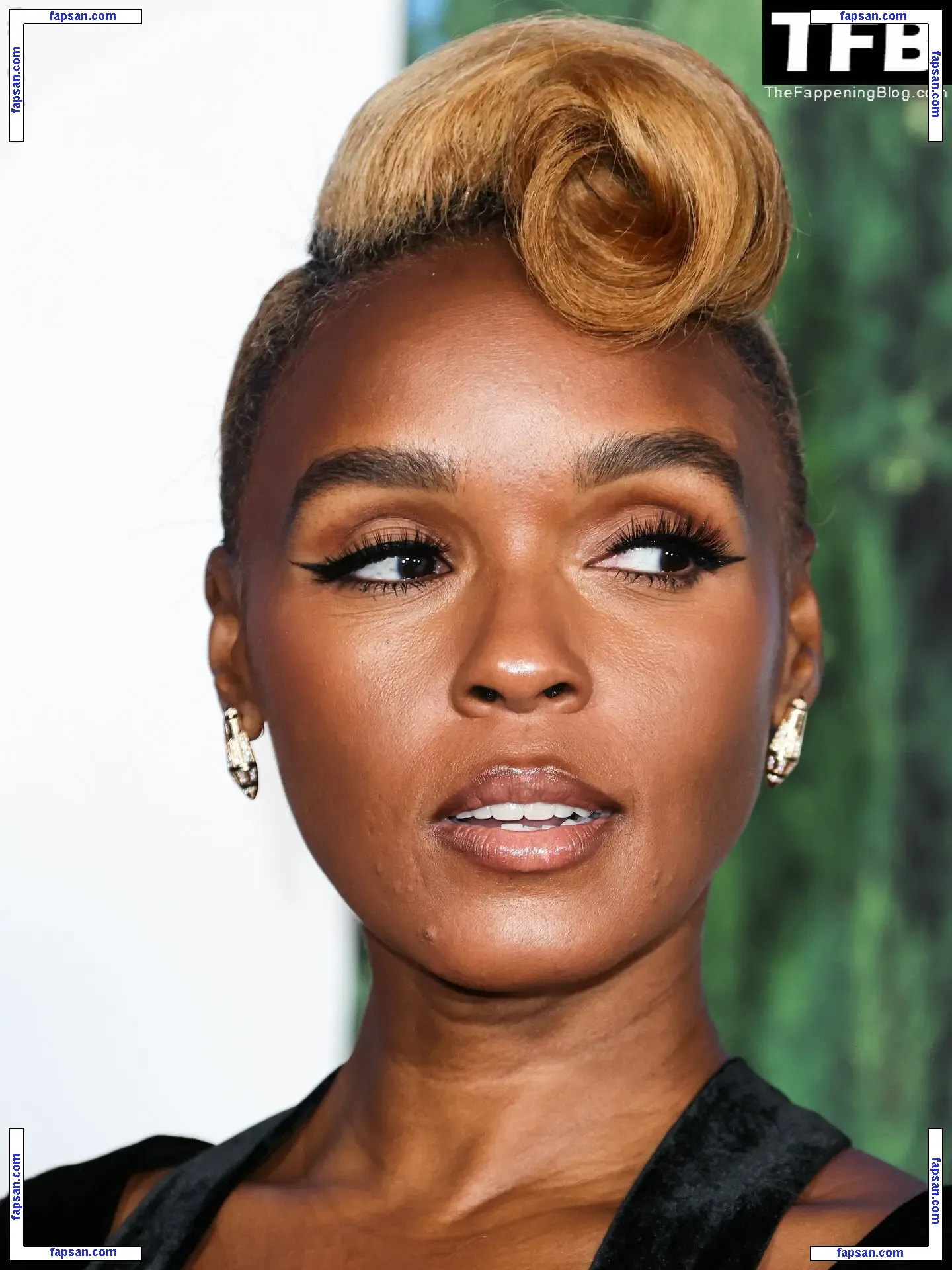 Janelle Monáe nude photo #0230 from OnlyFans