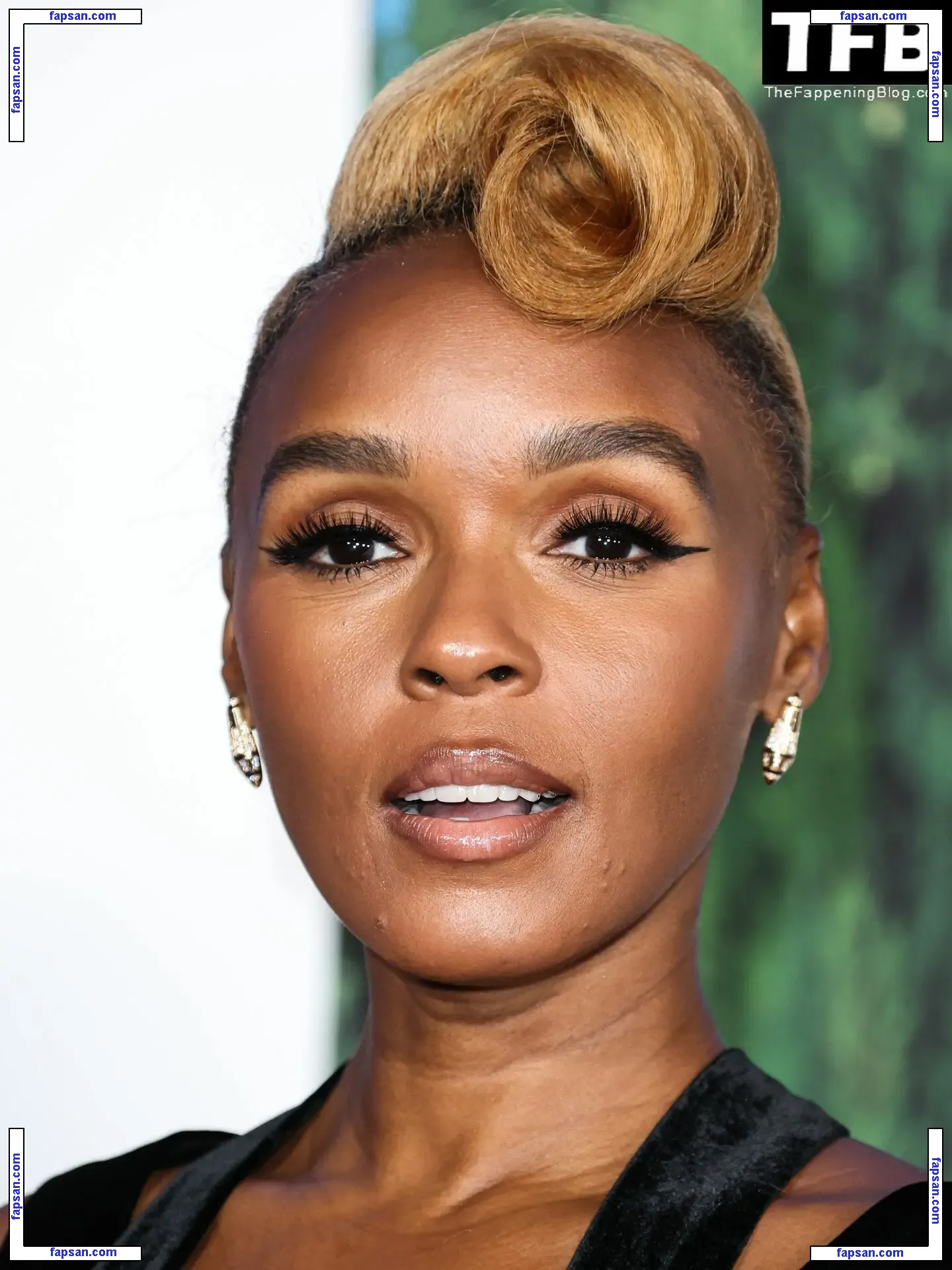Janelle Monáe nude photo #0231 from OnlyFans