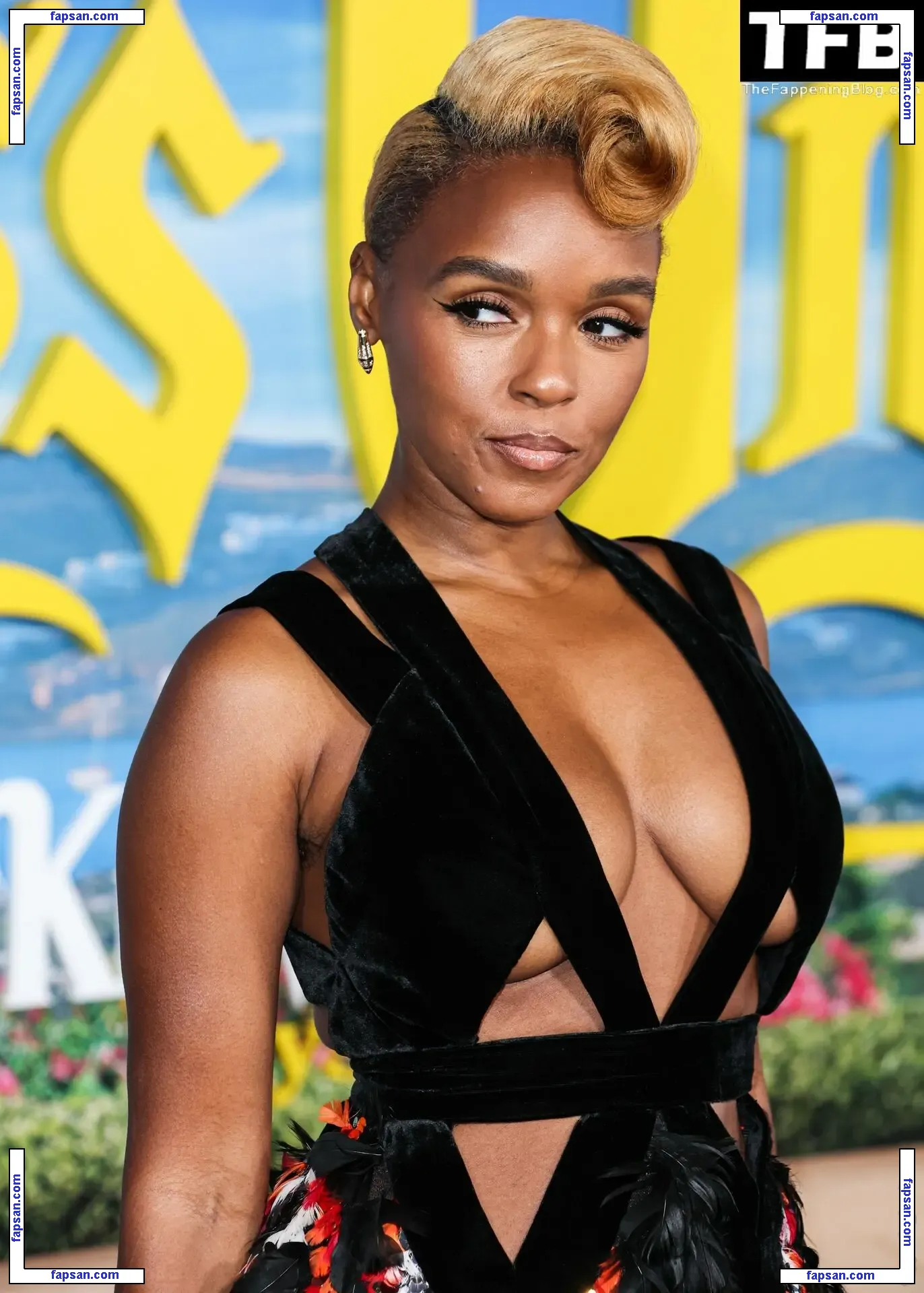 Janelle Monáe nude photo #0234 from OnlyFans