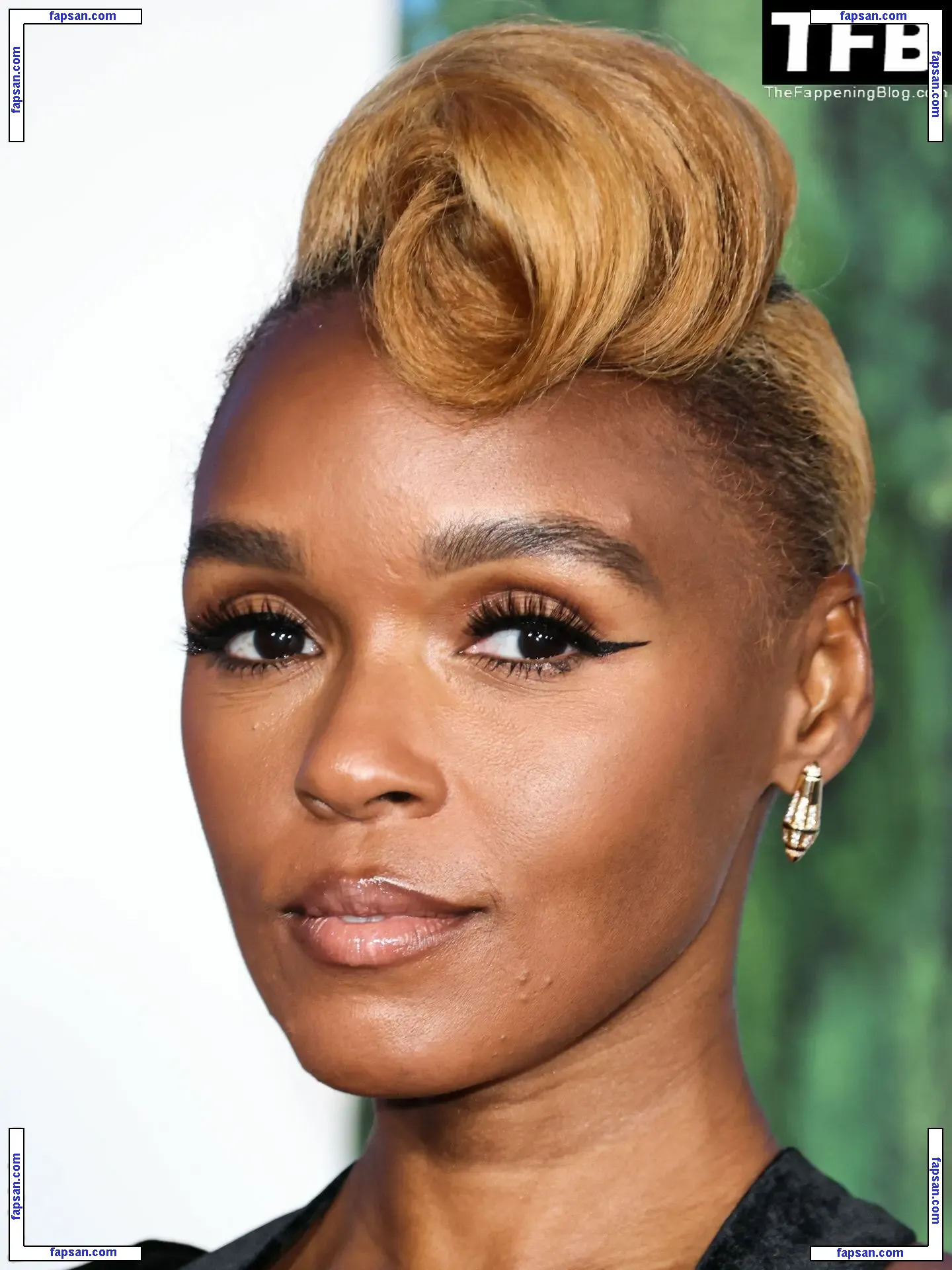 Janelle Monáe nude photo #0243 from OnlyFans