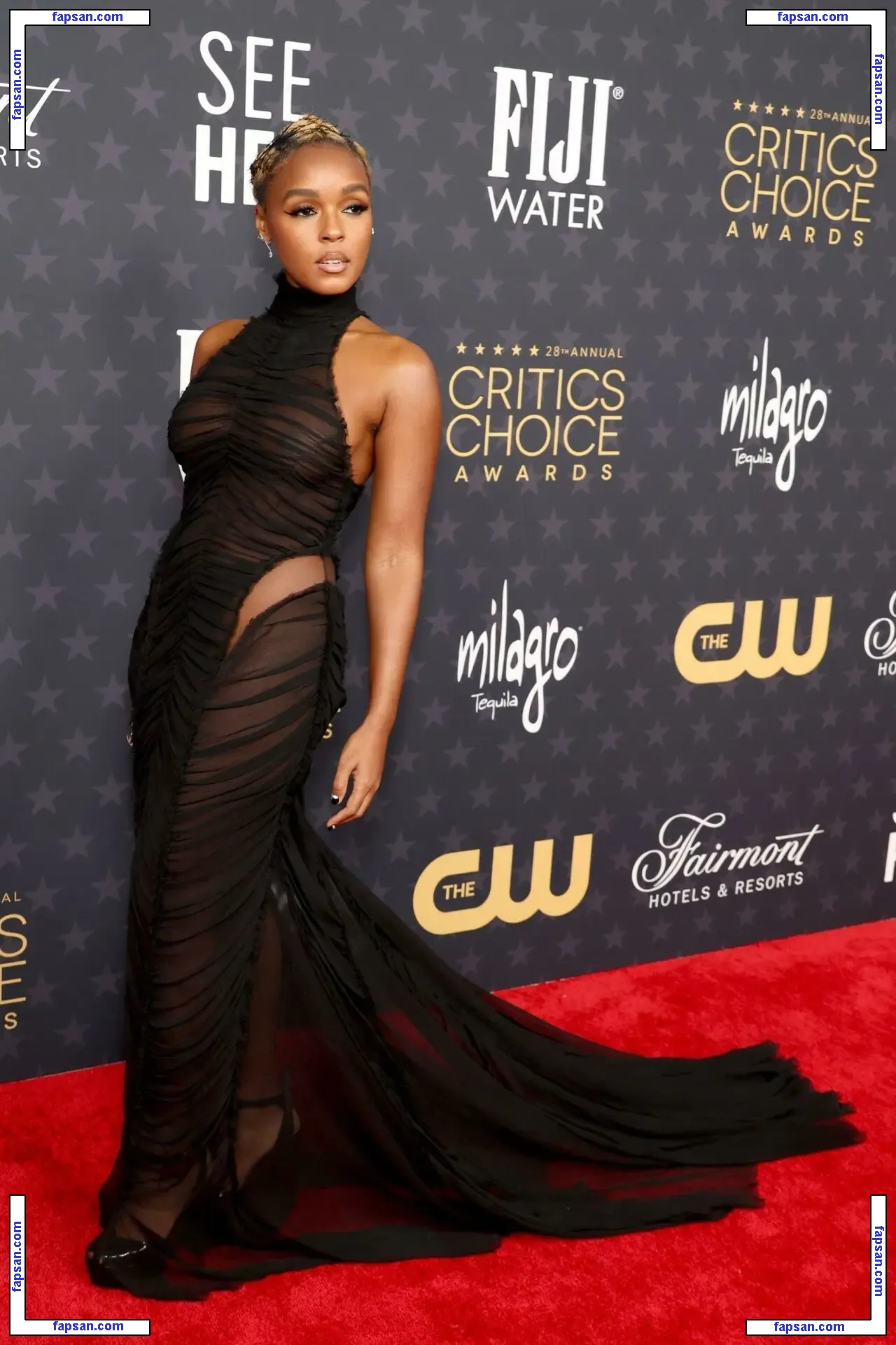 Janelle Monáe nude photo #0262 from OnlyFans