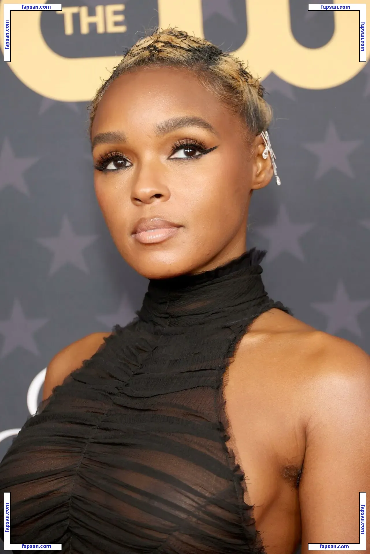 Janelle Monáe nude photo #0266 from OnlyFans