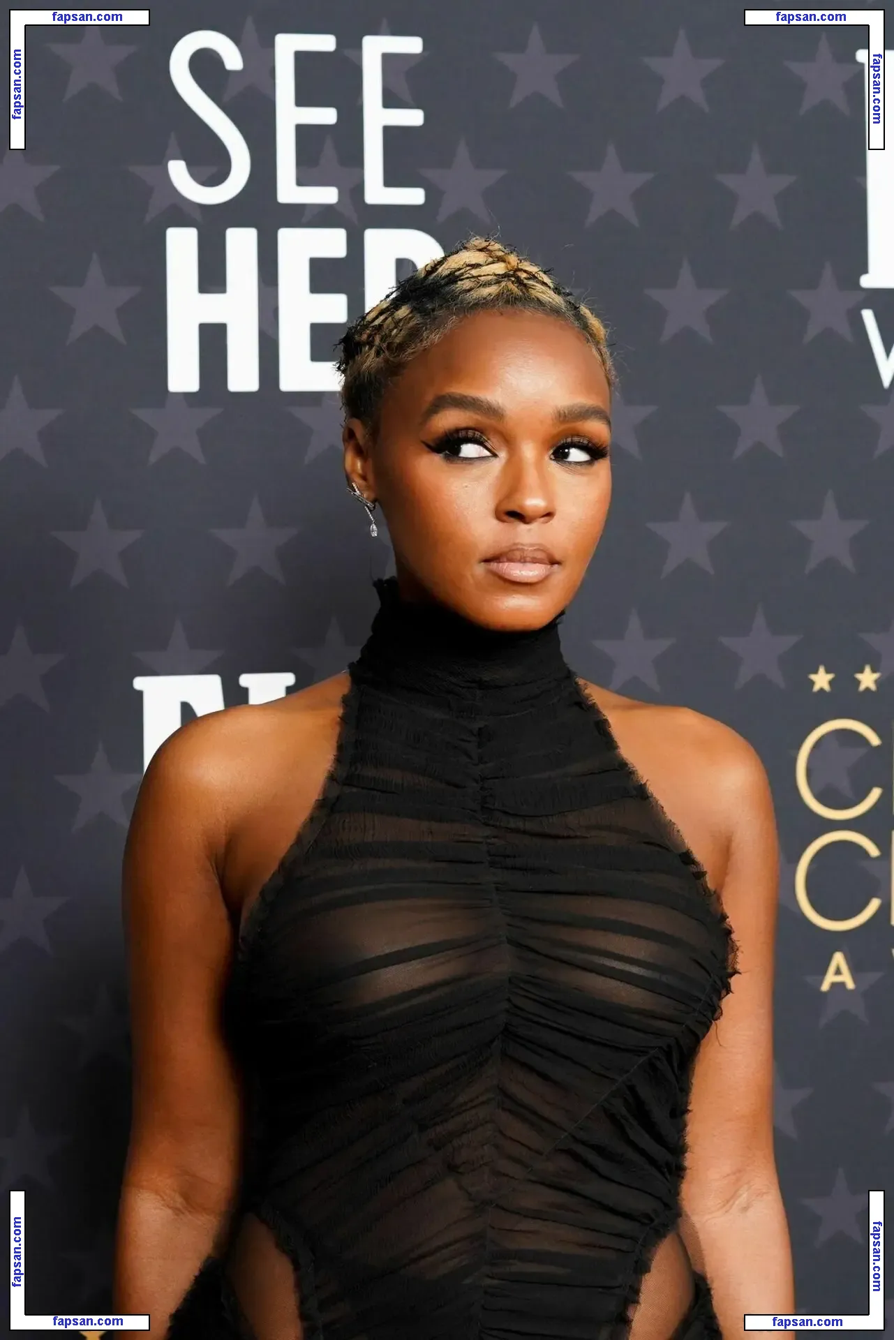 Janelle Monáe nude photo #0271 from OnlyFans
