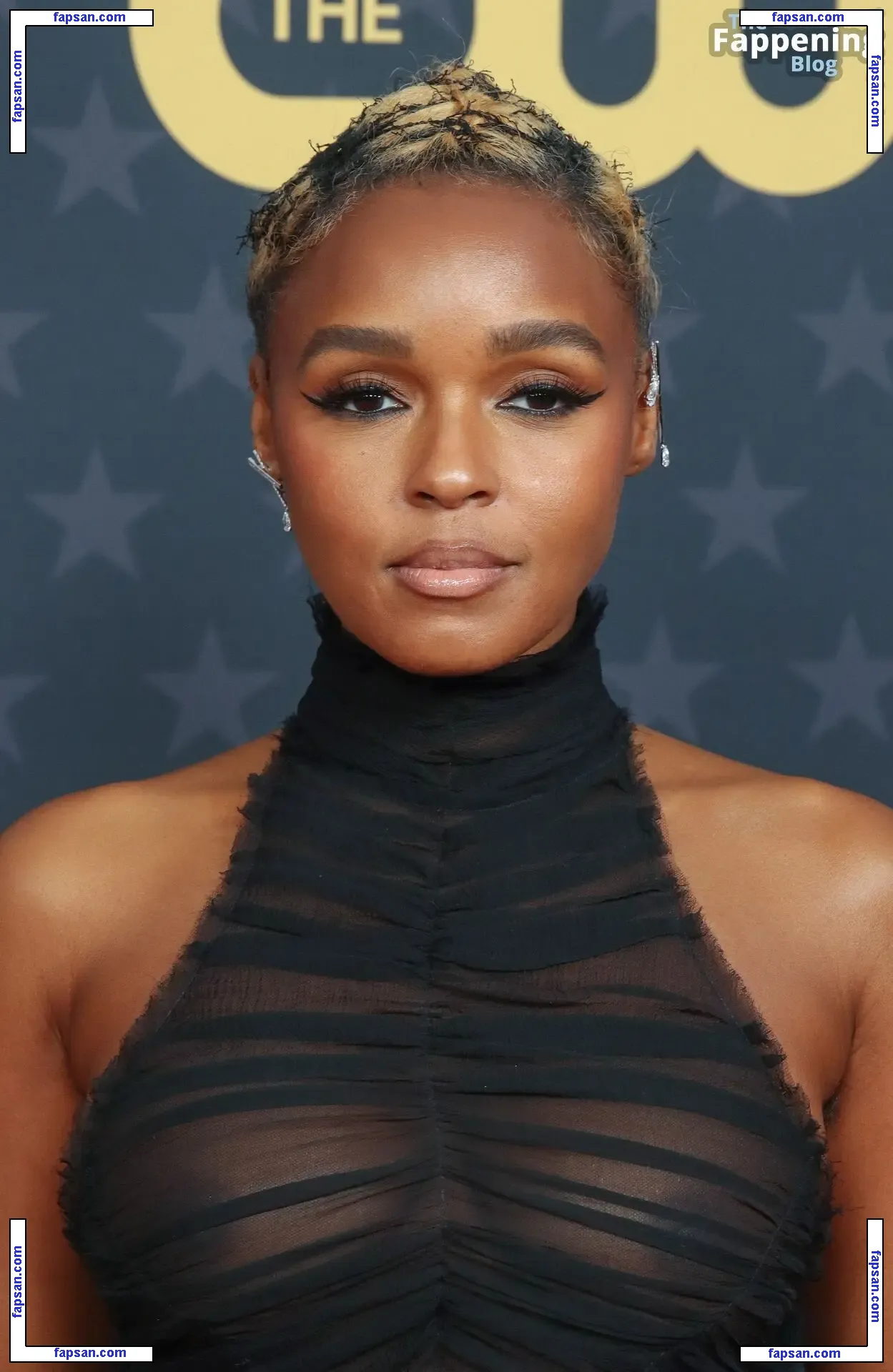 Janelle Monáe nude photo #0281 from OnlyFans