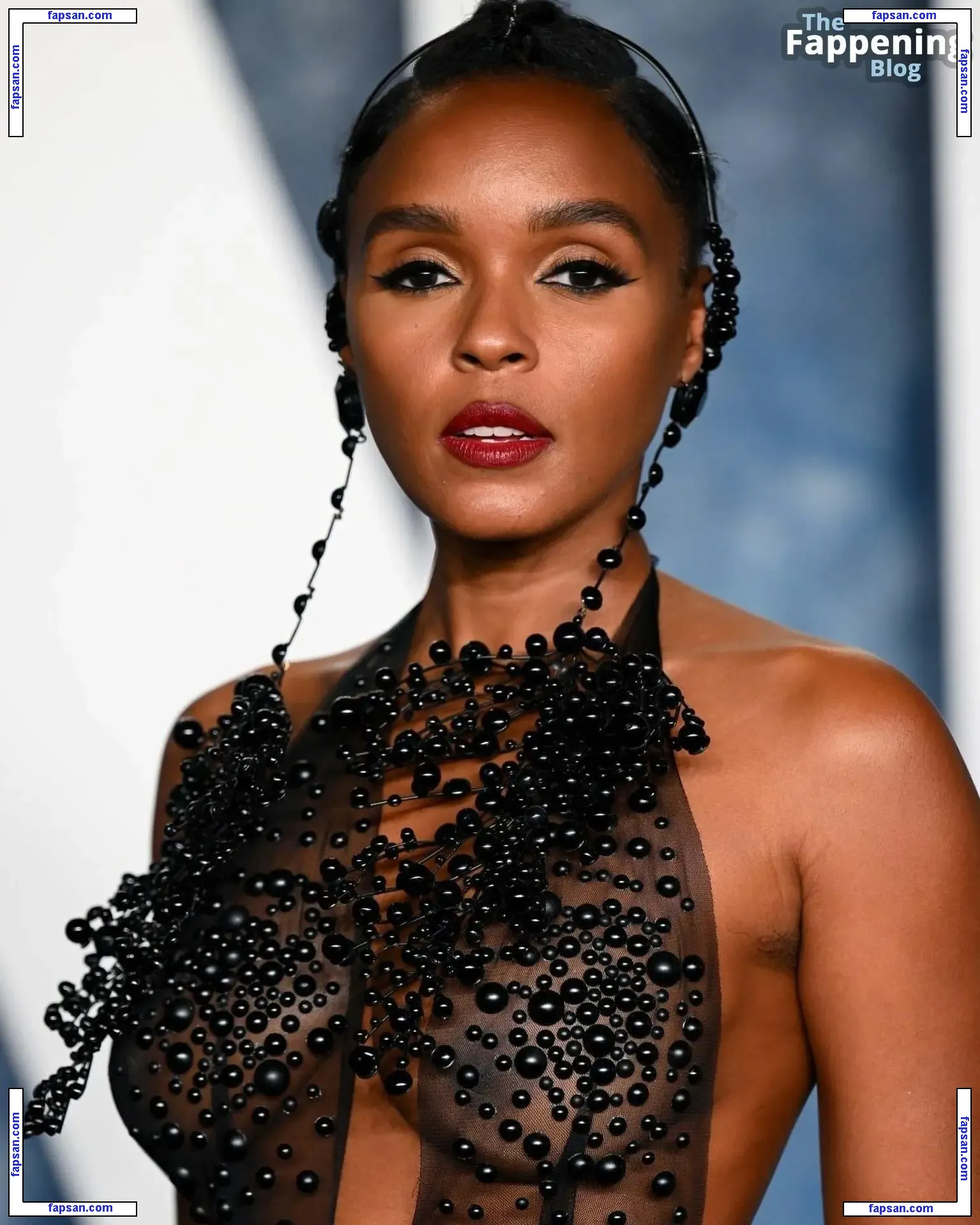 Janelle Monáe nude photo #0299 from OnlyFans