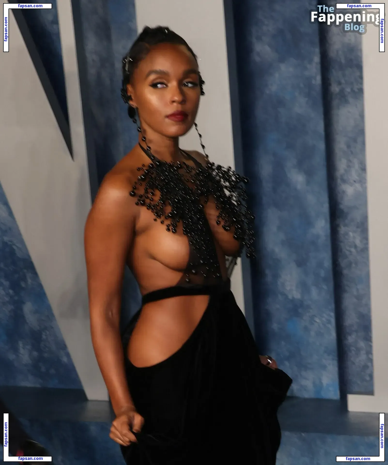 Janelle Monáe nude photo #0302 from OnlyFans