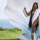 Janelle Monáe nude #0225