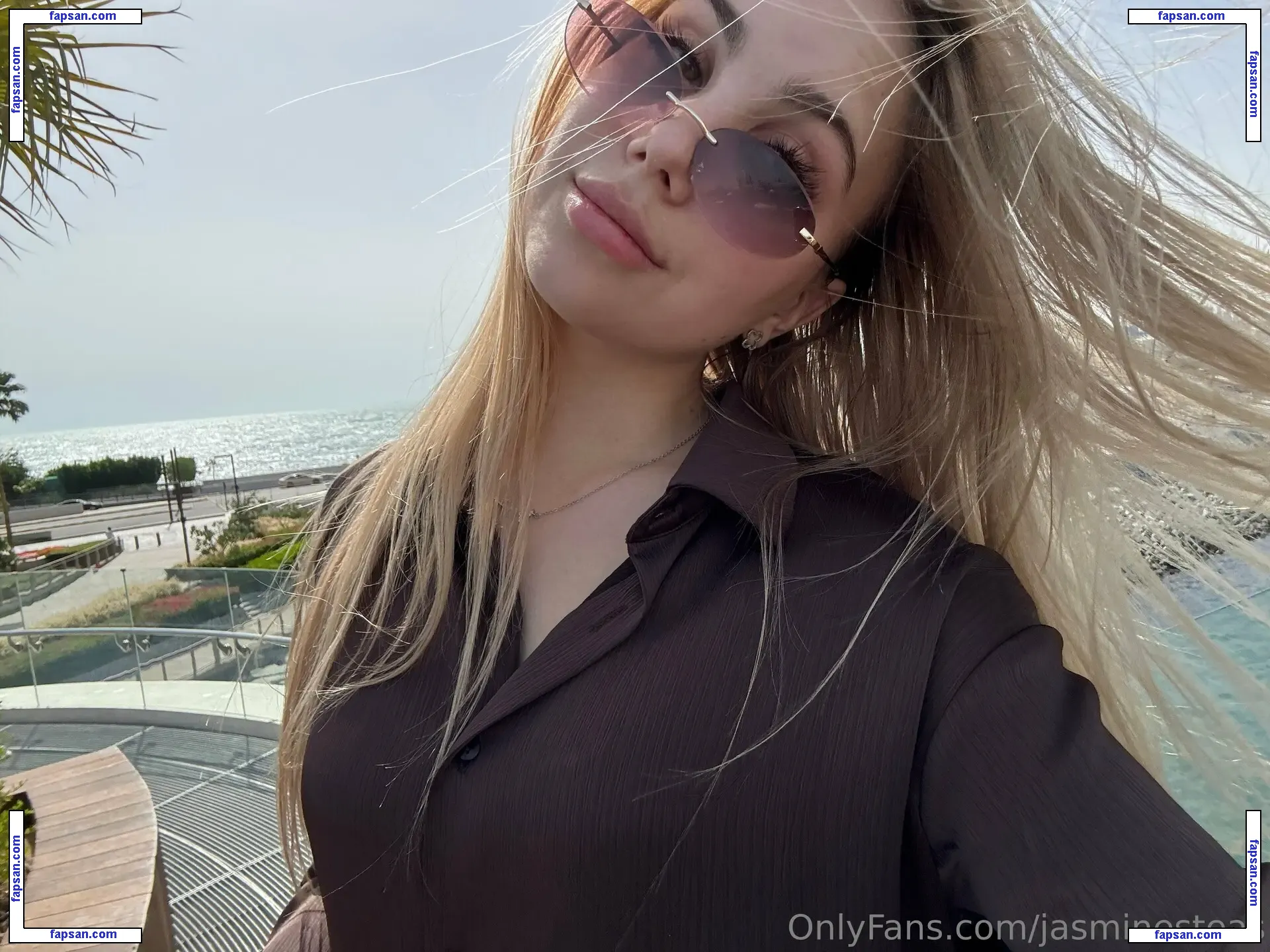 jasminesteas nude photo #0008 from OnlyFans