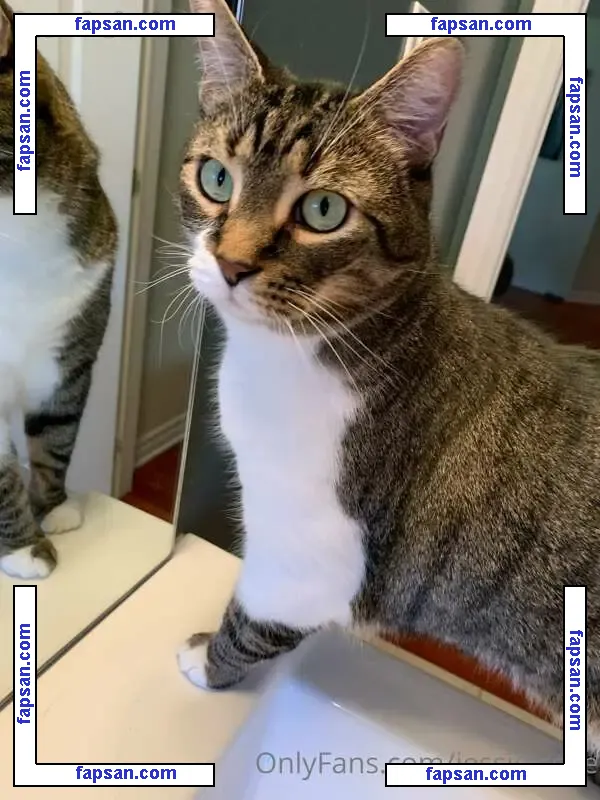 Jessie Rose голая фото #0004 с Онлифанс