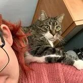 Jessie Rose голая #0003