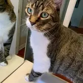 Jessie Rose голая #0004