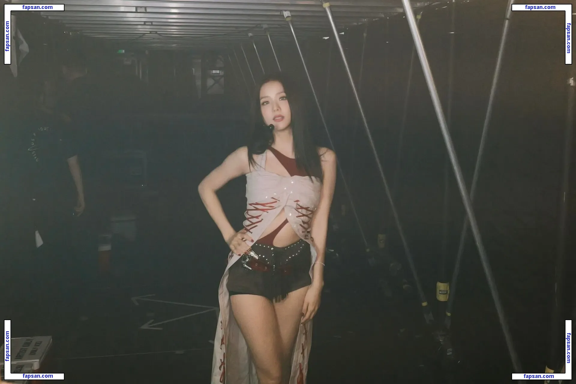 Jisoo nude photo #0445 from OnlyFans