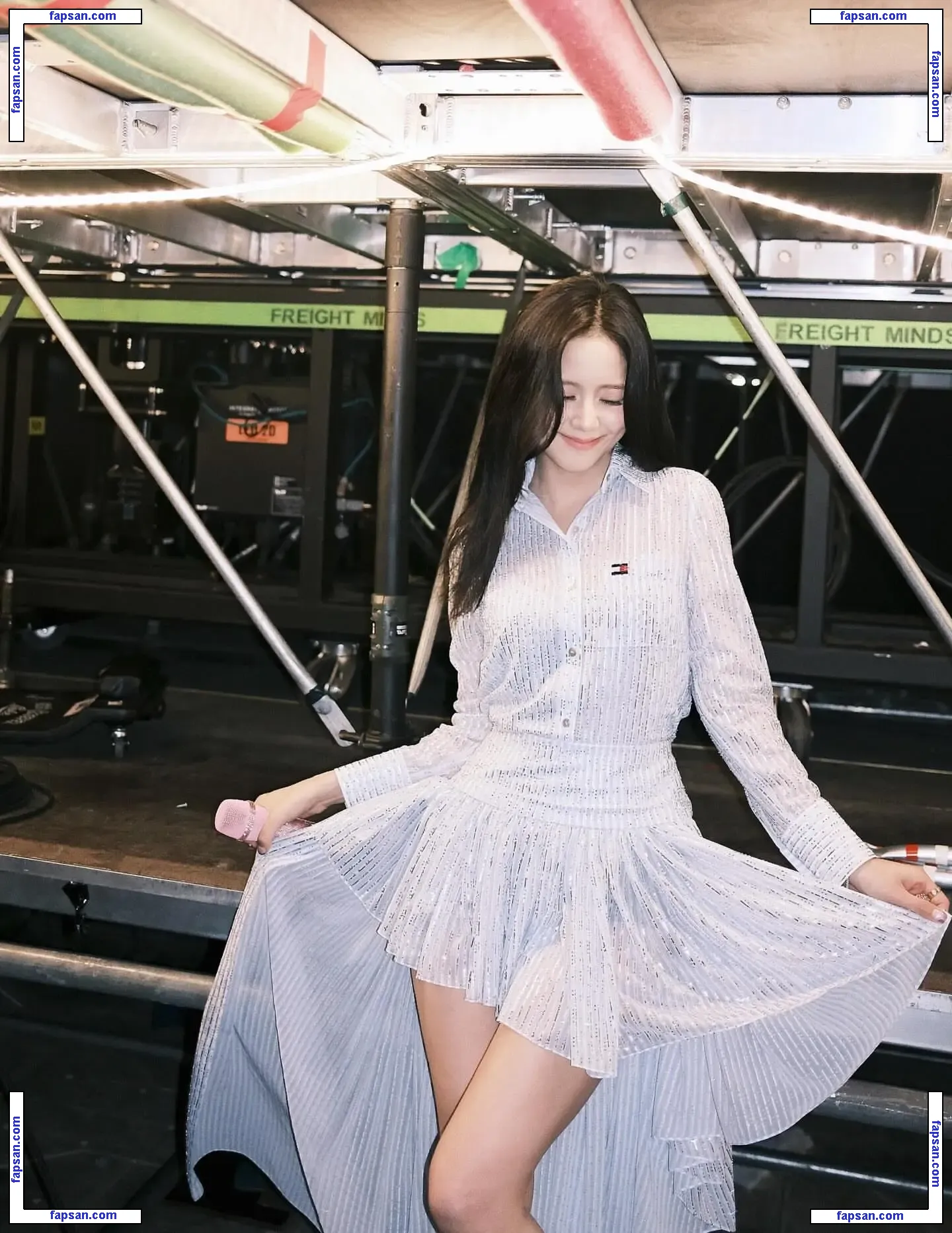 Jisoo nude photo #0452 from OnlyFans
