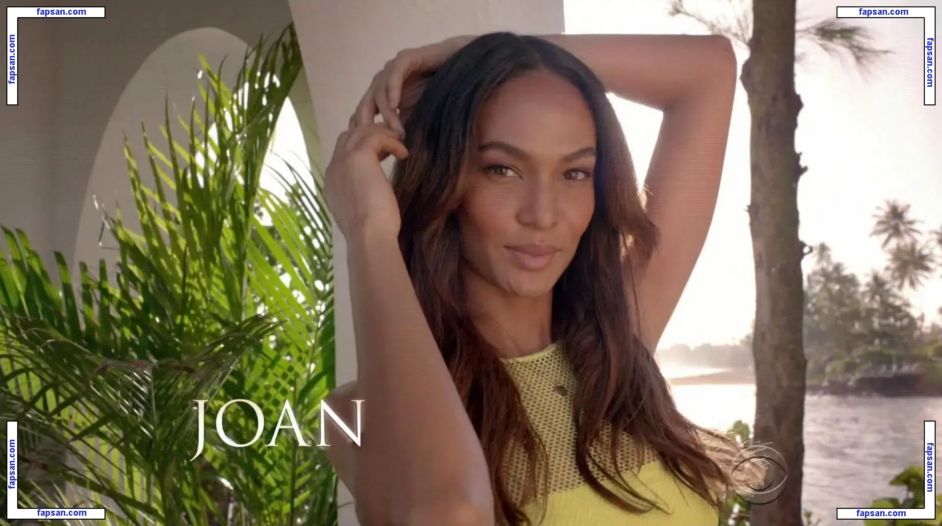 Joan Smalls nude photo #0182 from OnlyFans