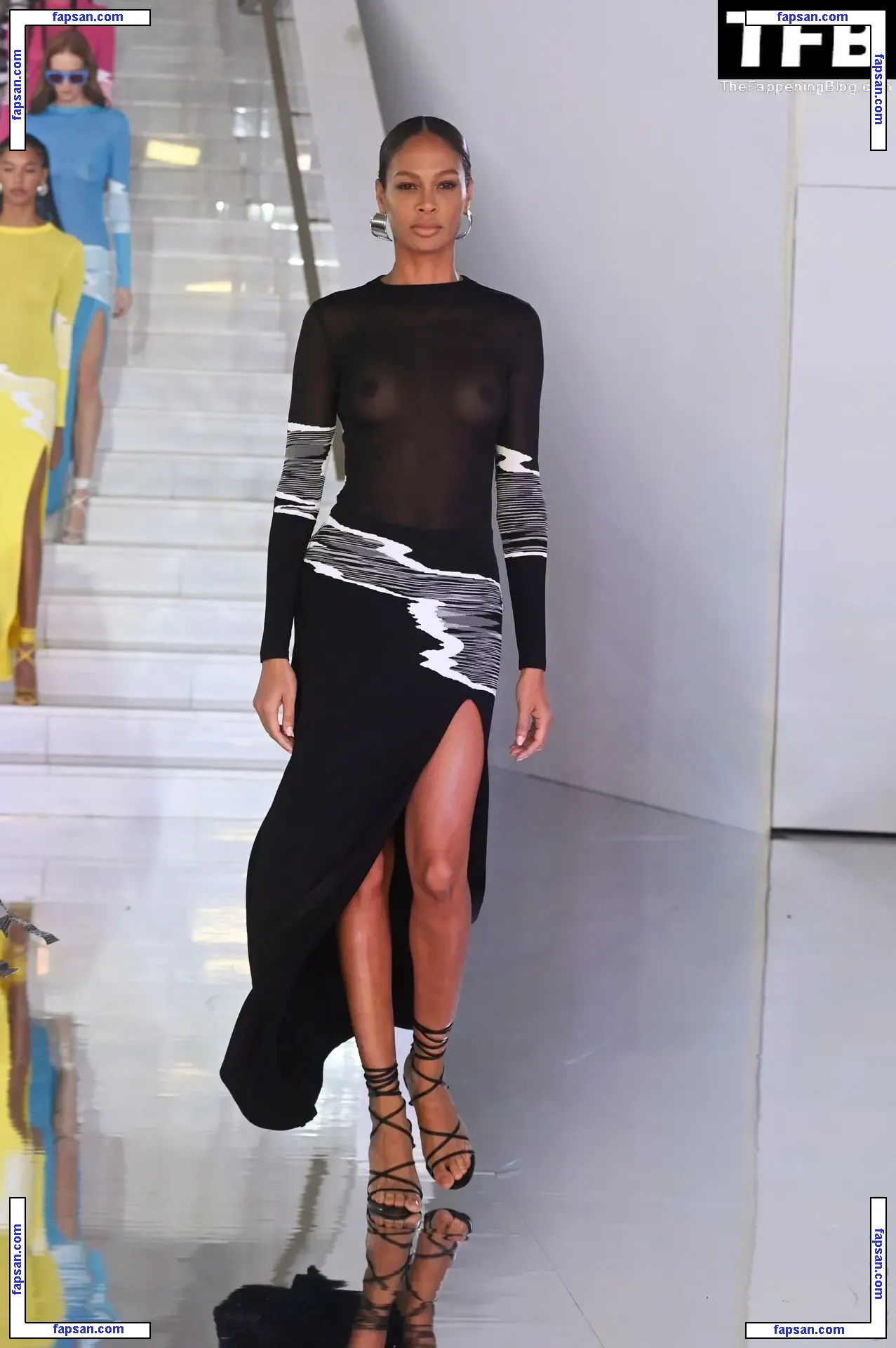 Joan Smalls голая фото #0426 с Онлифанс