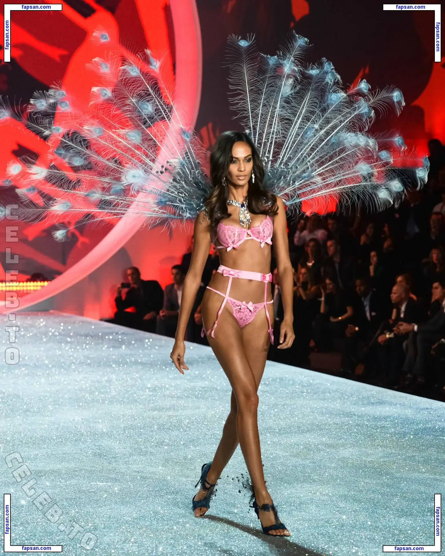 Joan Smalls голая фото #0581 с Онлифанс