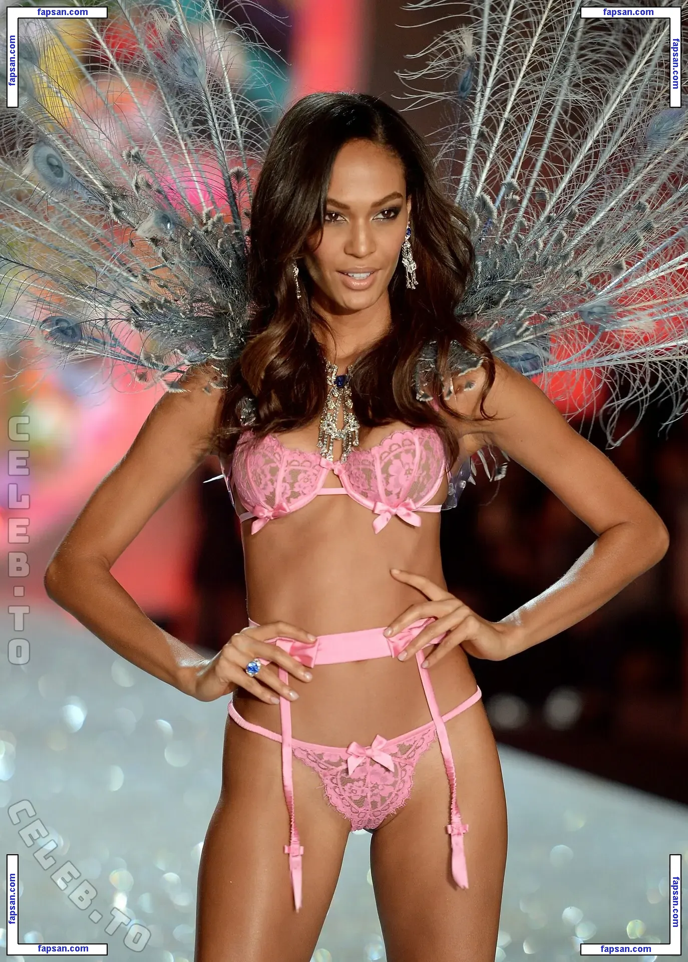 Joan Smalls голая фото #0584 с Онлифанс