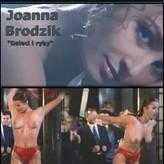 Joanna Brodzik nude #0001