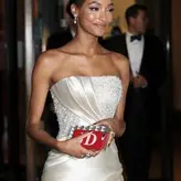 Jourdan Dunn nude #0347
