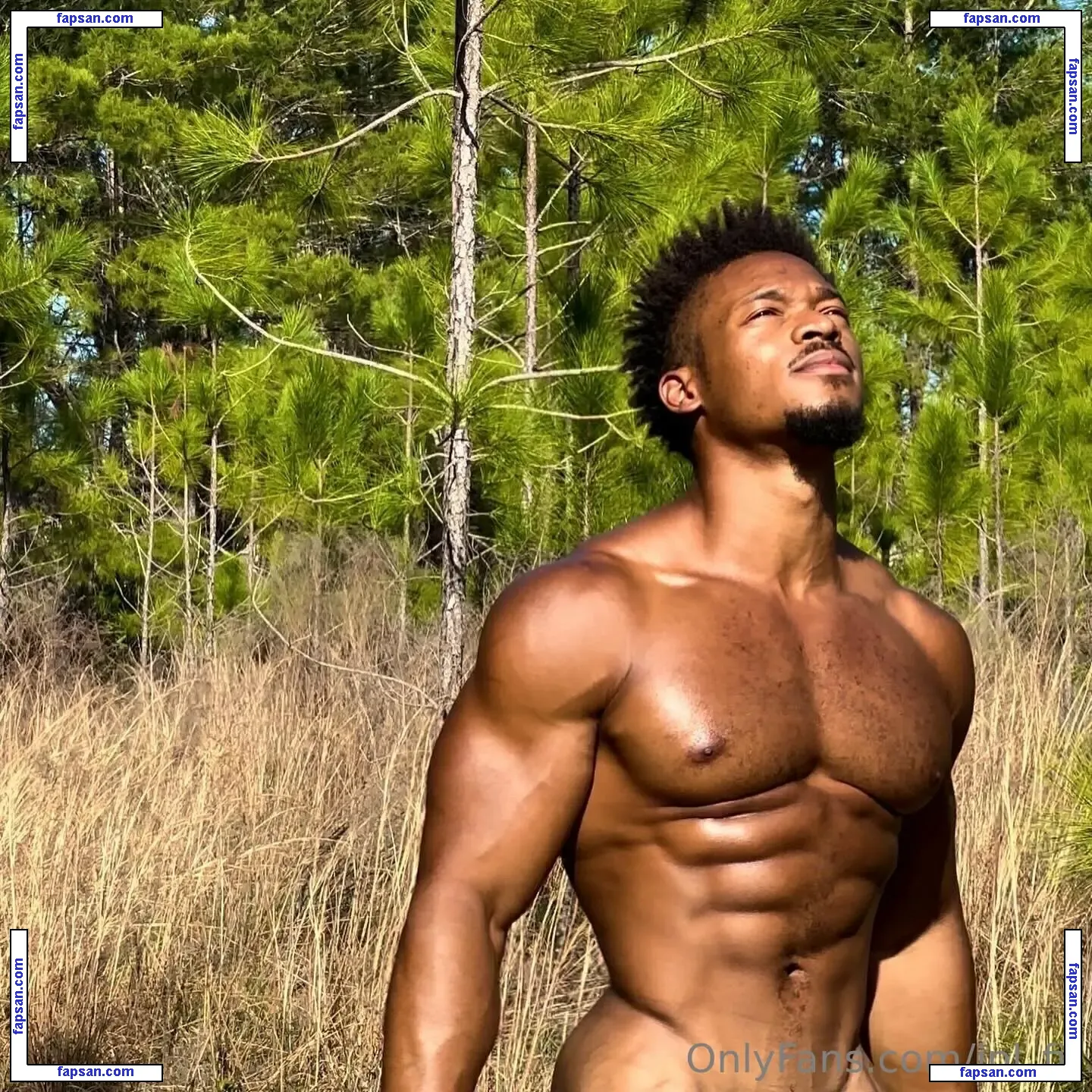 jpl_fit nude photo #0012 from OnlyFans