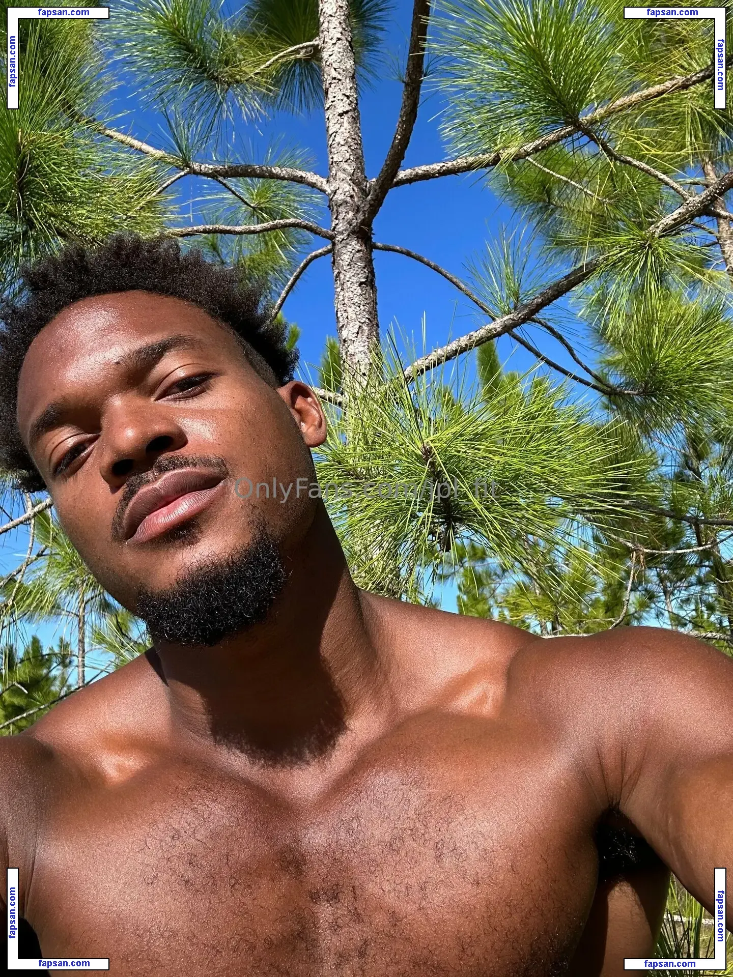 jpl_fit nude photo #0013 from OnlyFans