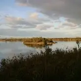 juliebacha голая #0007