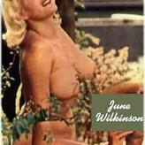 June Wilkinson голая #0012