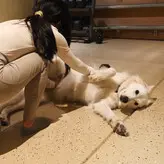 Kai голая #0005